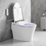 Toilette intelligente noire et blanche PD-2213-BL