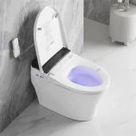 Toilette intelligente noire et blanche PD-2213-BL