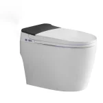Toilette intelligente noire et blanche PD-2213-BL