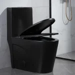 Toilette moderne noir PD-0382Y-MB-1000