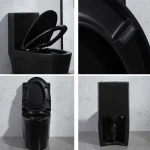 Toilette moderne noir PD-0382Y-MB-1000
