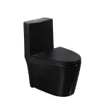 Toilette moderne noir PD-0382Y-MB-1000
