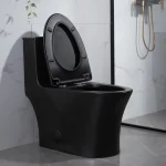Toilette Évolia noir PD-0382Z-MB-1000