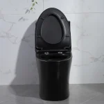 Toilette Évolia noir PD-0382Z-MB-1000