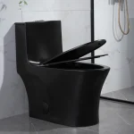 Toilette Évolia noir PD-0382Z-MB-1000