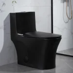 Toilette Évolia noir PD-0382Z-MB-1000