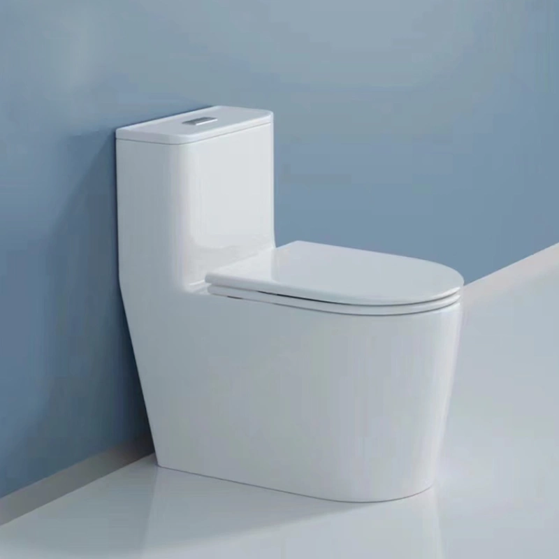 Toilette Carée 2.0 PD-2184-DUA