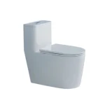 Toilette Carée 2.0 PD-2184-DUA