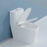 Toilette Carée 2.0 PD-2184-DUA