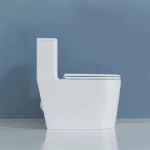 Toilette Carée 2.0 PD-2184-DUA
