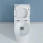 Toilette Carée 2.0 PD-2184-DUA