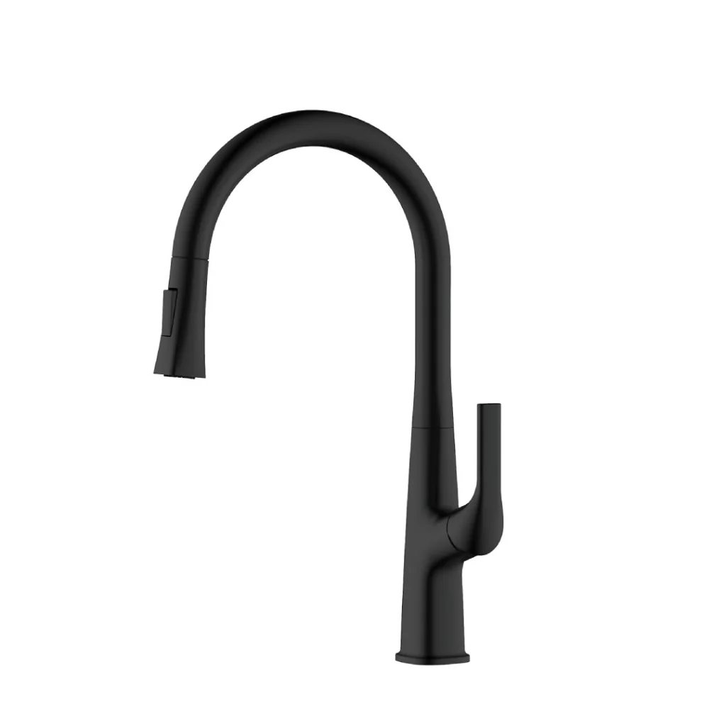 Robinet de cuisine Toulouse Noir mat