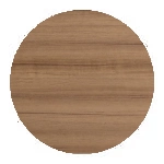 Teak (Tectona grandis)